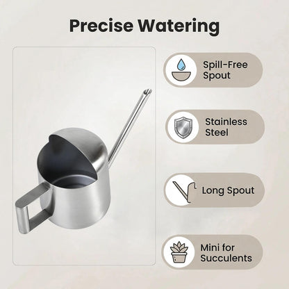 Mini Watering Can for Indoor Plants Stainless Steel Small Watering Can 11oz/300ml