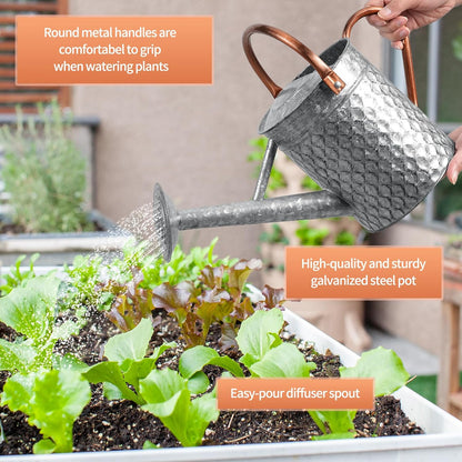 1 Gallon Metal Watering Can for Outdoor Indoor Plants, Copper Colored Watering Can with Removable Spray Spout, Ideal for Garden Watering