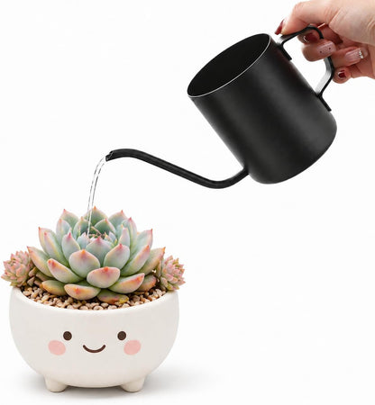 Watering Can for Indoor Plants, 12 oz / 350 ml Mini Plant Waterer, Stainless Steel Watering Can with Long Spout for House Plants, Succulents and Garden Decorative, Gentle Flow & No Spills