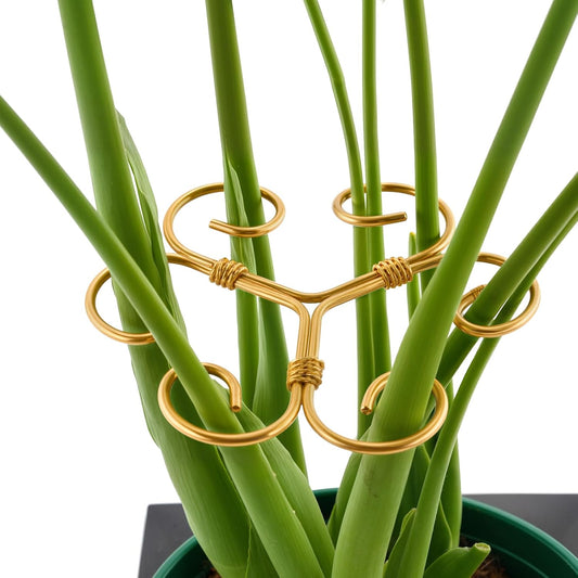 4PCS Green Iron Monstera Support, Uniquely Designed Plant Support Stakes for Indoor Plants, Stable Plant Stakes and Supports, Turtle Shell Bamboo Clamp Set for Thriving Growth