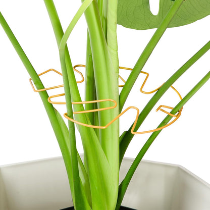4PCS Green Iron Monstera Support, Uniquely Designed Plant Support Stakes for Indoor Plants, Stable Plant Stakes and Supports, Turtle Shell Bamboo Clamp Set for Thriving Growth