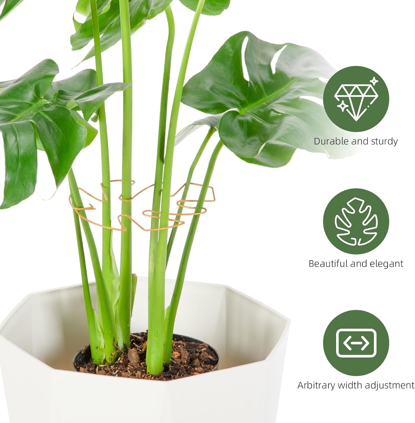 4PCS Green Iron Monstera Support, Uniquely Designed Plant Support Stakes for Indoor Plants, Stable Plant Stakes and Supports, Turtle Shell Bamboo Clamp Set for Thriving Growth