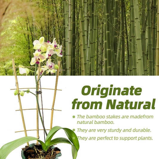 10 Pack 16" Bamboo Trellis for Climbing Plants, Fan-Shaped Plant Support