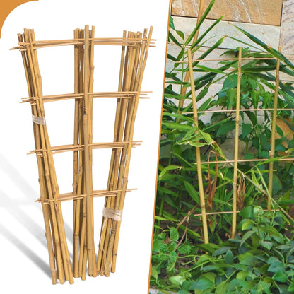 10 Pack 16" Bamboo Trellis for Climbing Plants, Fan-Shaped Plant Support