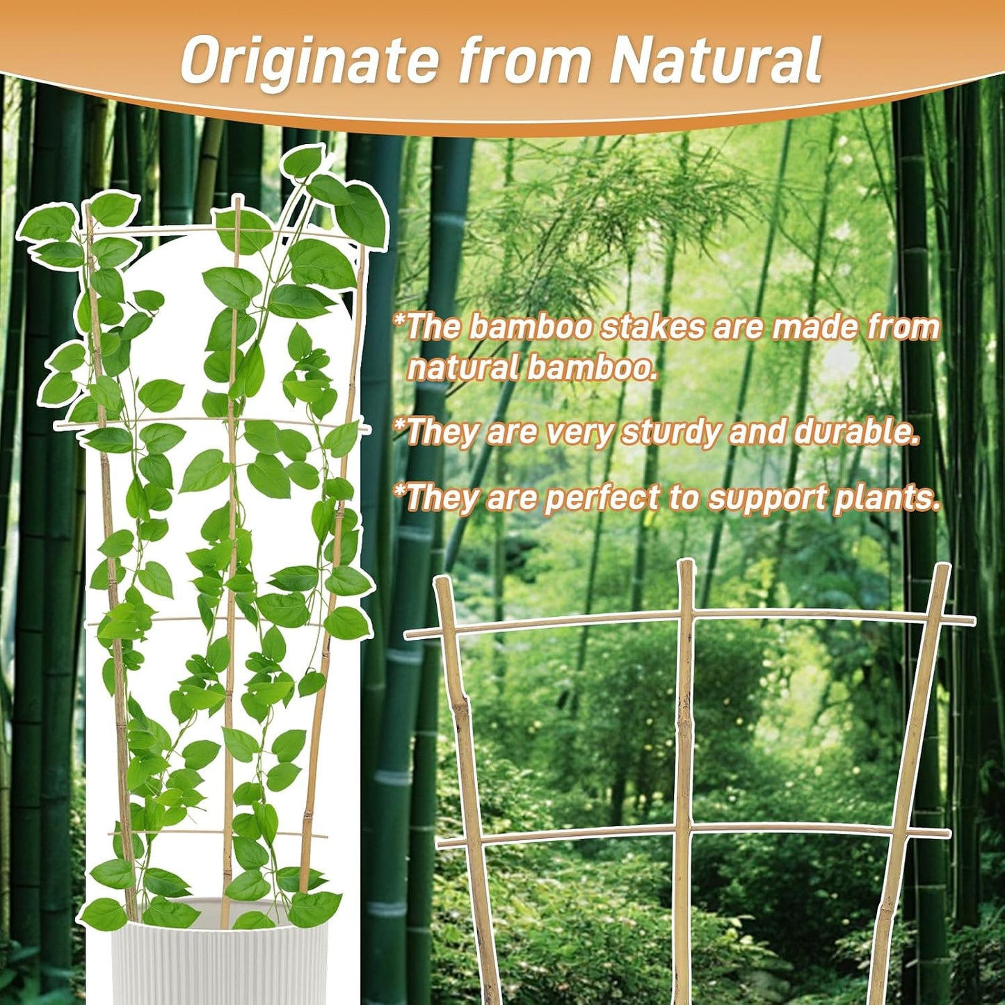 10 Pack 16" Bamboo Trellis for Climbing Plants, Fan-Shaped Plant Support