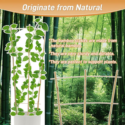 10 Pack 16" Bamboo Trellis for Climbing Plants, Fan-Shaped Plant Support