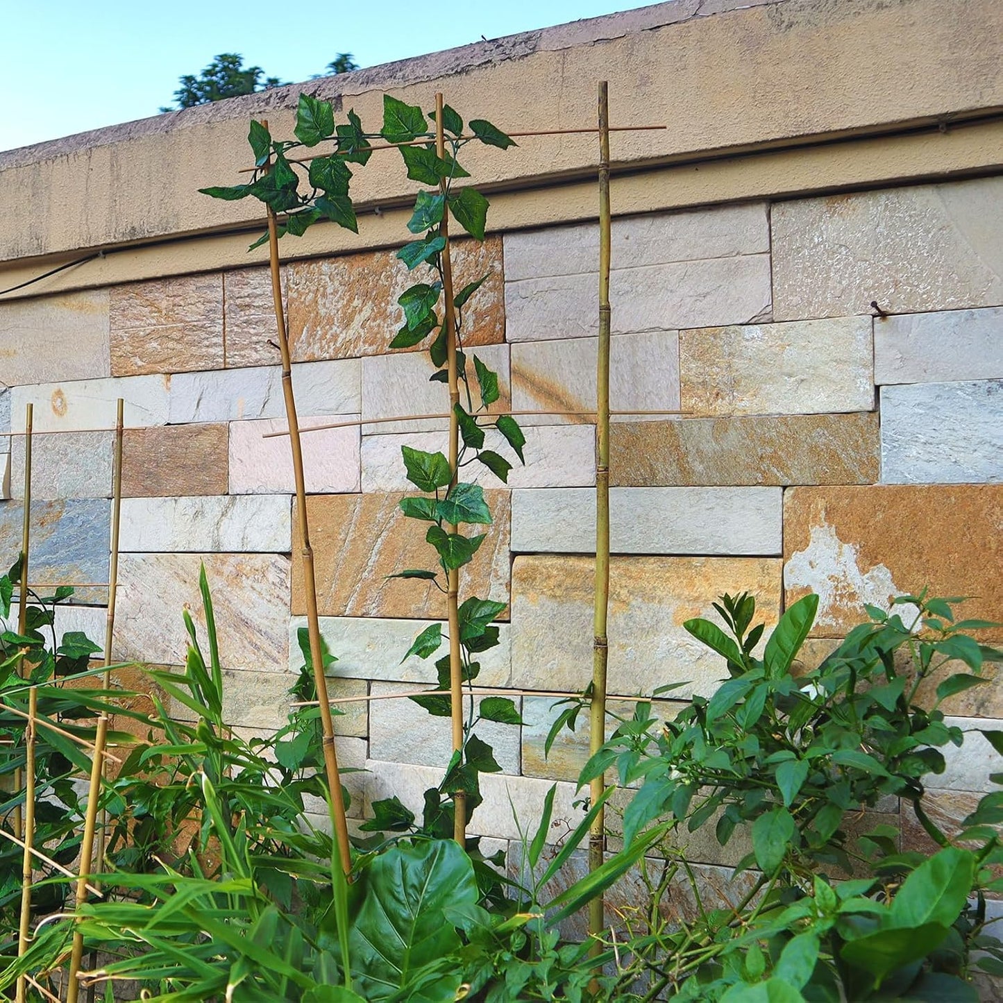 10 Pack 16" Bamboo Trellis for Climbing Plants, Fan-Shaped Plant Support