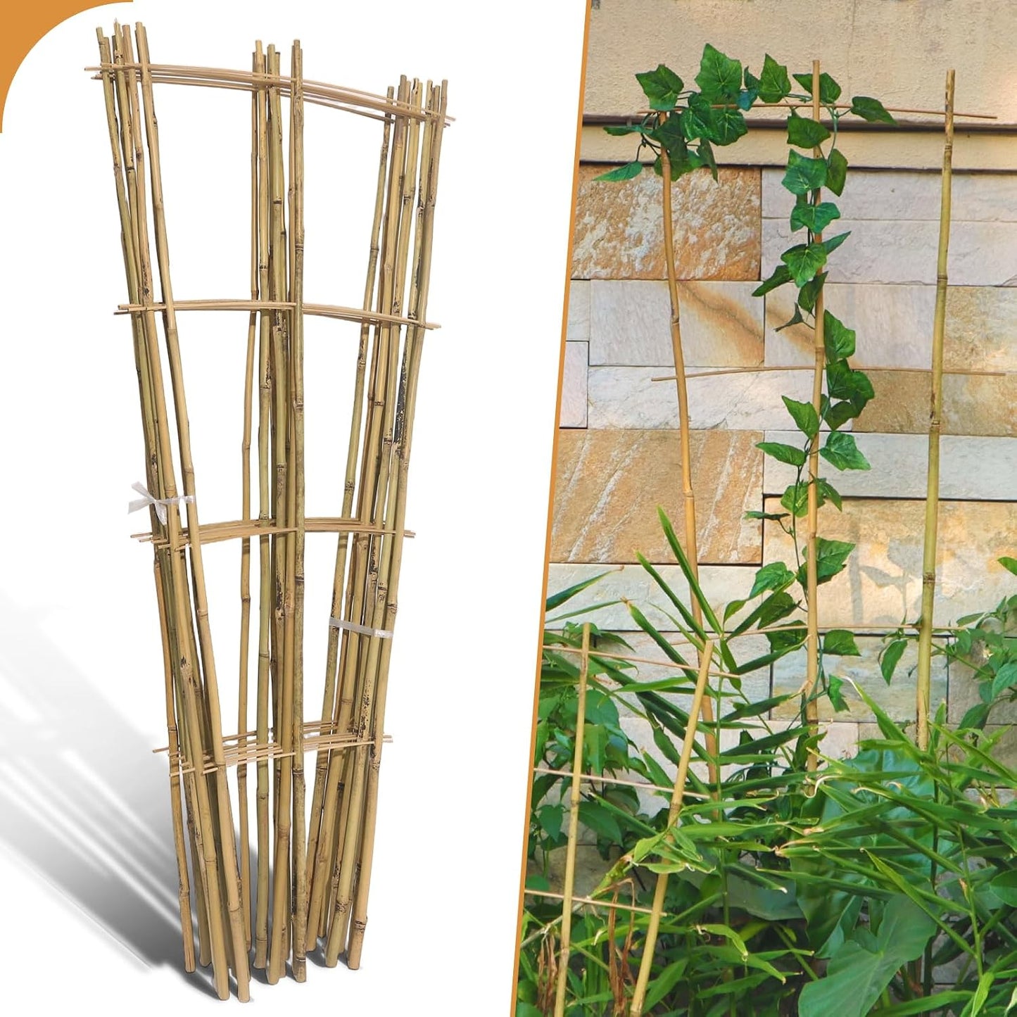 10 Pack 16" Bamboo Trellis for Climbing Plants, Fan-Shaped Plant Support