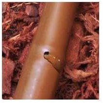 Drip Hose Emitter Tubing 100 Foot 1/2” - Brown Seeping Drip Soaker Hose with Emitter Hole Every 18” - More Reliable and Consistent Watering - Saves 80% more Water