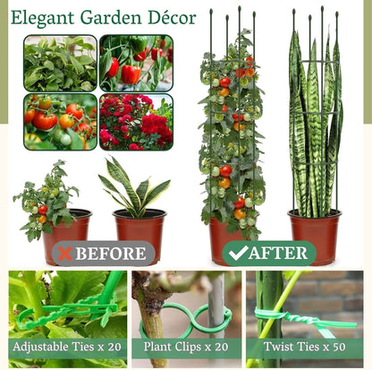 2 Pack Heavy Duty Round Tomato Cage | 63 Inch Rustproof Steel Core Plastic Coated Garden Tomato Trellis | Metal Large Plant Support for Tomato, Cucumber, Beans, Flowers, Vegetables Indoor Outdoor
