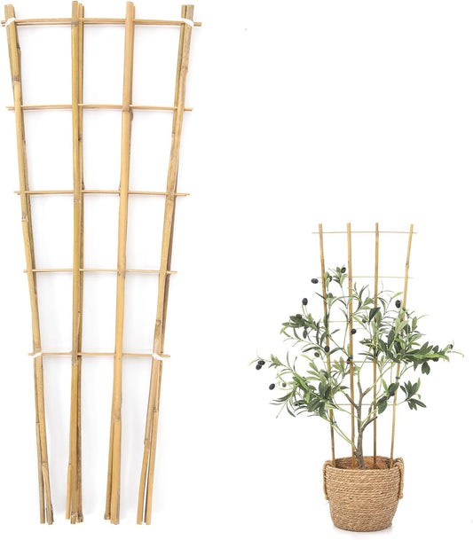 Bamboo Trellis,3Ft,3Pack,Climbing PlantsTrellis, Fan-Shaped Trellis,for Outdoor and Indoor Potted Climbing Plants,Vegetables, Cucumber, Tomato, Hoya
