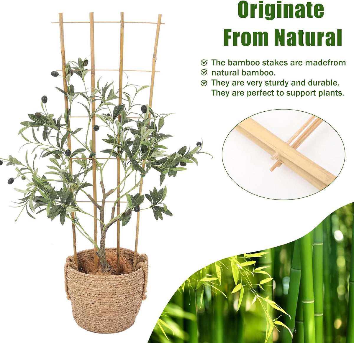 Bamboo Trellis,3Ft,3Pack,Climbing PlantsTrellis, Fan-Shaped Trellis,for Outdoor and Indoor Potted Climbing Plants,Vegetables, Cucumber, Tomato, Hoya
