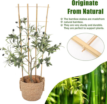 Bamboo Trellis,3Ft,3Pack,Climbing PlantsTrellis, Fan-Shaped Trellis,for Outdoor and Indoor Potted Climbing Plants,Vegetables, Cucumber, Tomato, Hoya