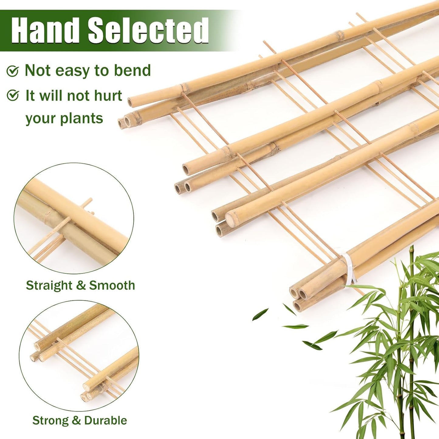Bamboo Trellis,3Ft,3Pack,Climbing PlantsTrellis, Fan-Shaped Trellis,for Outdoor and Indoor Potted Climbing Plants,Vegetables, Cucumber, Tomato, Hoya