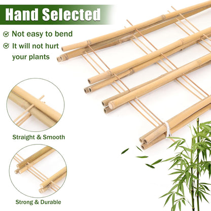 Bamboo Trellis,3Ft,3Pack,Climbing PlantsTrellis, Fan-Shaped Trellis,for Outdoor and Indoor Potted Climbing Plants,Vegetables, Cucumber, Tomato, Hoya