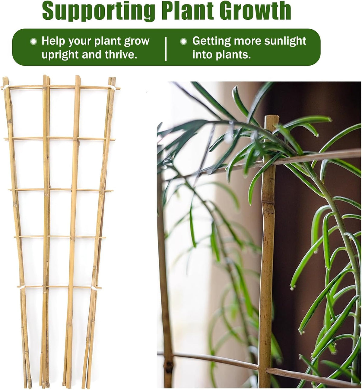 Bamboo Trellis,3Ft,3Pack,Climbing PlantsTrellis, Fan-Shaped Trellis,for Outdoor and Indoor Potted Climbing Plants,Vegetables, Cucumber, Tomato, Hoya