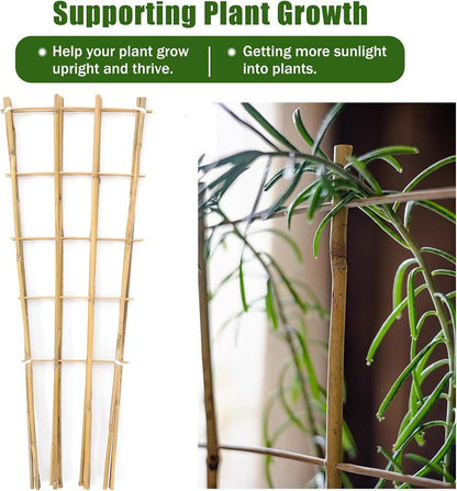 Bamboo Trellis,3Ft,3Pack,Climbing PlantsTrellis, Fan-Shaped Trellis,for Outdoor and Indoor Potted Climbing Plants,Vegetables, Cucumber, Tomato, Hoya