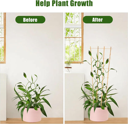 Bamboo Trellis,3Ft,3Pack,Climbing PlantsTrellis, Fan-Shaped Trellis,for Outdoor and Indoor Potted Climbing Plants,Vegetables, Cucumber, Tomato, Hoya