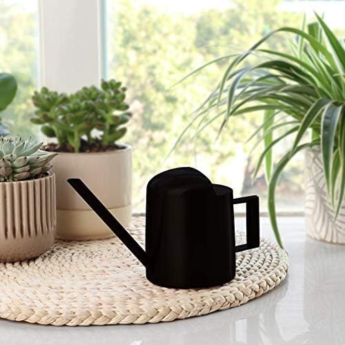 Mini Watering Can, 10oz/300ml Stainless Steel Long Spout Small Watering Can for Indoor Plants Succulents, Herbs (Bronze)