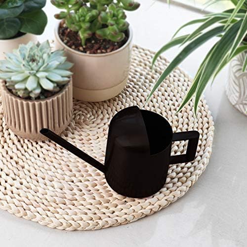 Mini Watering Can, 10oz/300ml Stainless Steel Long Spout Small Watering Can for Indoor Plants Succulents, Herbs (Bronze)