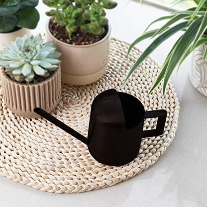 Mini Watering Can, 10oz/300ml Stainless Steel Long Spout Small Watering Can for Indoor Plants Succulents, Herbs (Bronze)