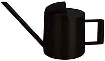 Mini Watering Can, 10oz/300ml Stainless Steel Long Spout Small Watering Can for Indoor Plants Succulents, Herbs (Bronze)