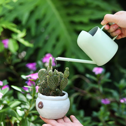 Mini Watering Can, 10oz/300ml Stainless Steel Long Spout Small Watering Can for Indoor Plants Succulents, Herbs (Bronze)