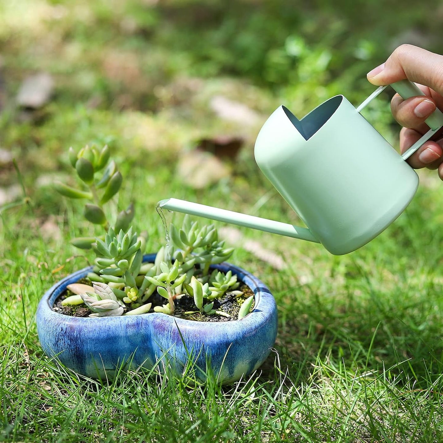 Mini Watering Can, 10oz/300ml Stainless Steel Long Spout Small Watering Can for Indoor Plants Succulents, Herbs (Bronze)