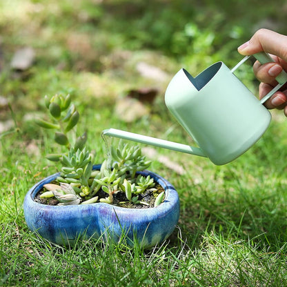 Mini Watering Can, 10oz/300ml Stainless Steel Long Spout Small Watering Can for Indoor Plants Succulents, Herbs (Bronze)