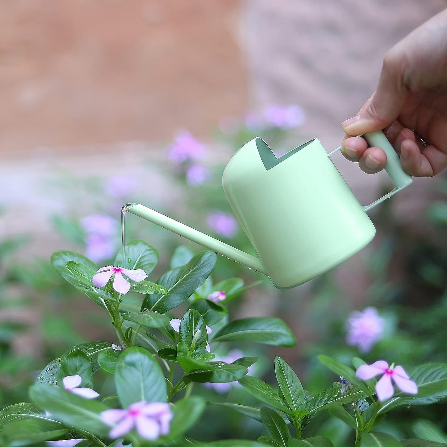 Mini Watering Can, 10oz/300ml Stainless Steel Long Spout Small Watering Can for Indoor Plants Succulents, Herbs (Bronze)