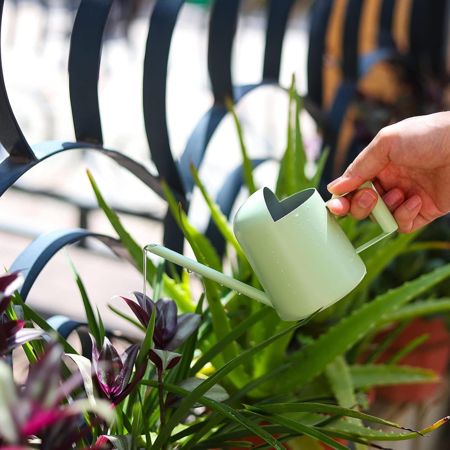 Mini Watering Can, 10oz/300ml Stainless Steel Long Spout Small Watering Can for Indoor Plants Succulents, Herbs (Bronze)