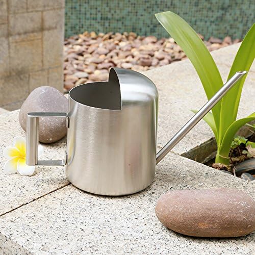 Mini Watering Can, 10oz/300ml Stainless Steel Long Spout Small Watering Can for Indoor Plants Succulents, Herbs (Bronze)
