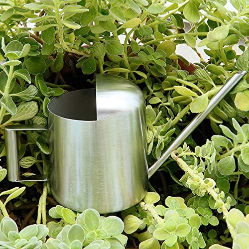 Mini Watering Can, 10oz/300ml Stainless Steel Long Spout Small Watering Can for Indoor Plants Succulents, Herbs (Bronze)