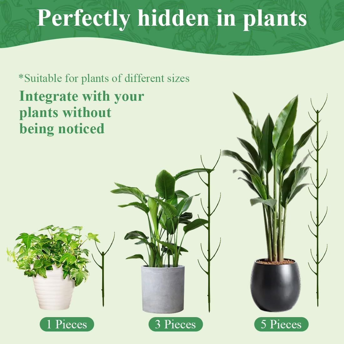 5 Pack Stackable Monstera Plant Support, 11 Inch Plant Support Stakes for Indoor & Outdoor Use, Plants Sticks for Vine Training & Stem Stabilization, Monstera, Pothos, Philodendron