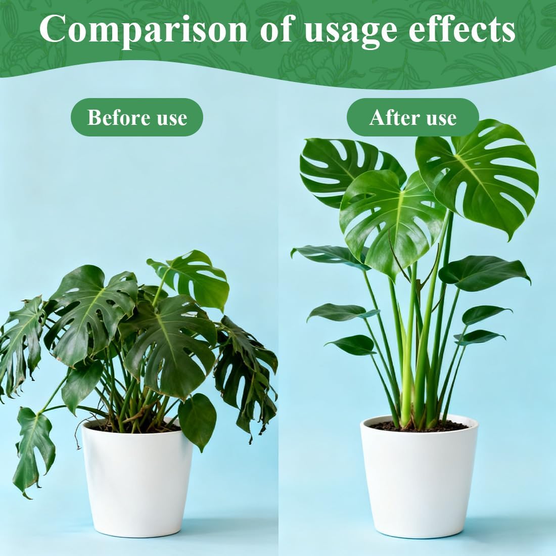 5 Pack Stackable Monstera Plant Support, 11 Inch Plant Support Stakes for Indoor & Outdoor Use, Plants Sticks for Vine Training & Stem Stabilization, Monstera, Pothos, Philodendron