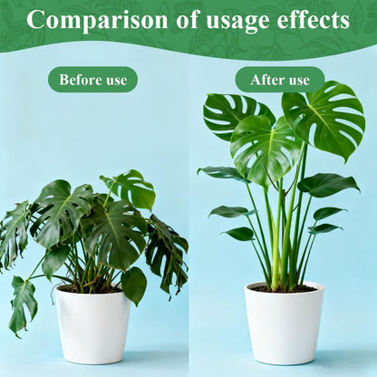5 Pack Stackable Monstera Plant Support, 11 Inch Plant Support Stakes for Indoor & Outdoor Use, Plants Sticks for Vine Training & Stem Stabilization, Monstera, Pothos, Philodendron