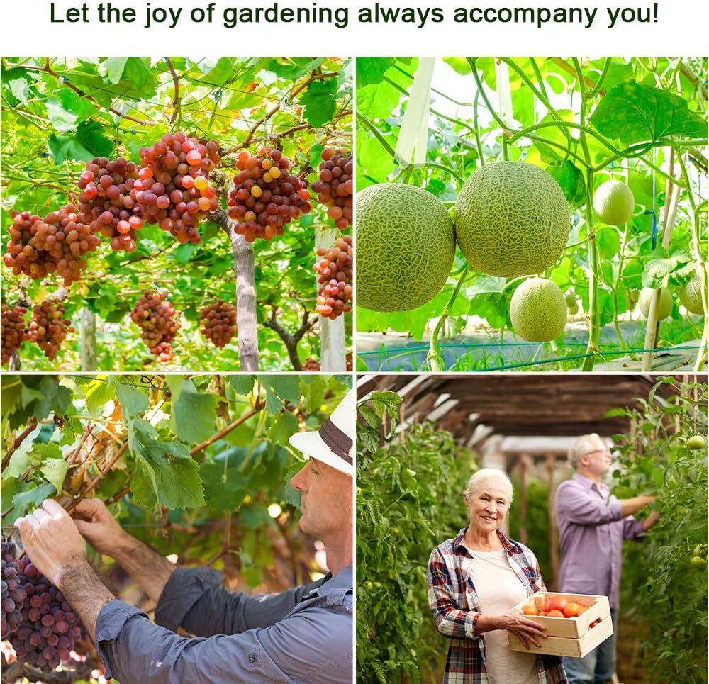 200PCS Plant Support Garden Clips, Vegetable Tomato Supports Trellis Clip Tape for Climbing Crop Vine Twine String Cage Ties Stakes, Grow Strawberry Rose Grape Cucumber Orchid Pea Pothos Melon Tree