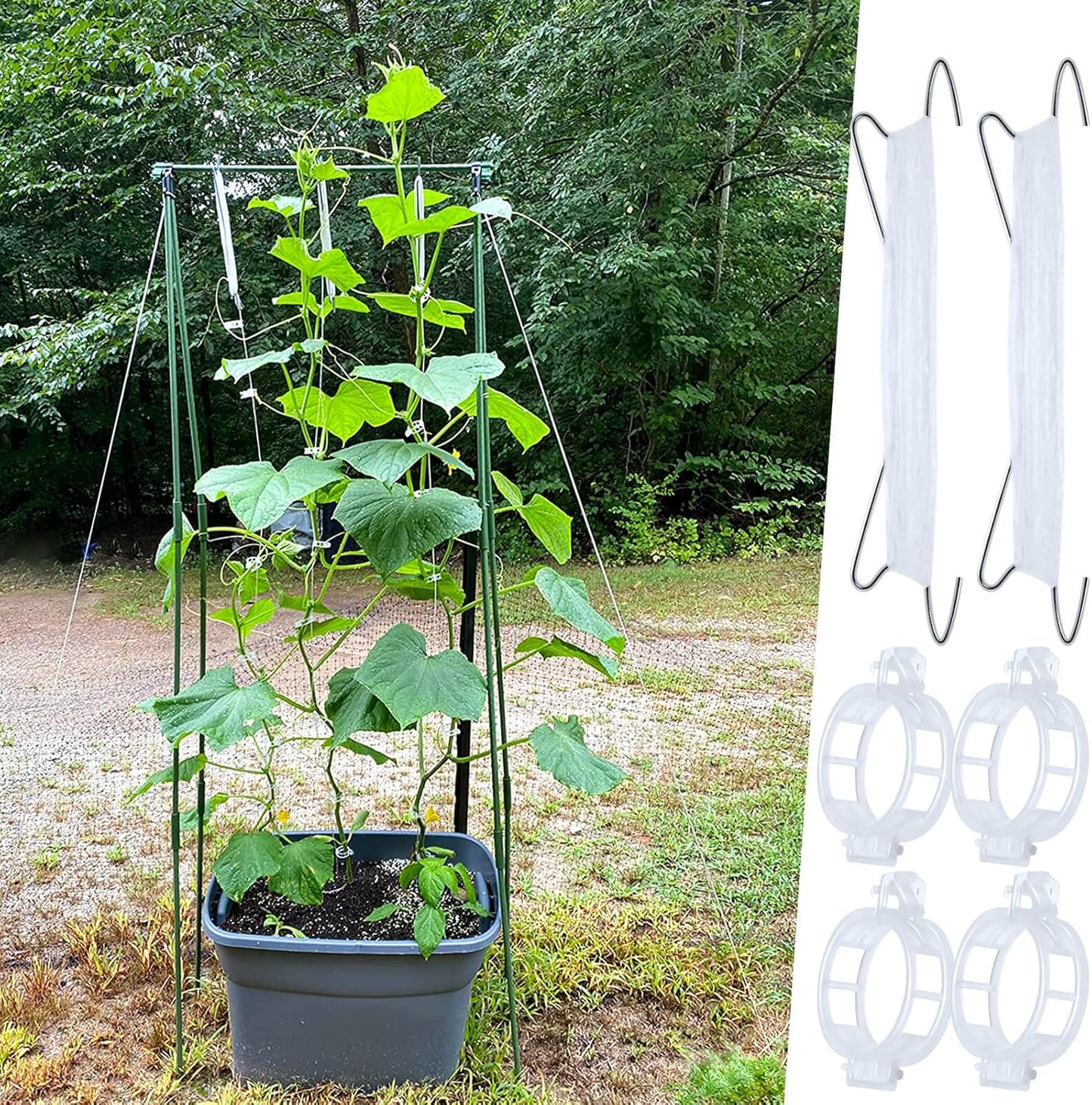40Pcs Tomato Hooks with String, Holder & Plant Support Clips - 33.3ft Twine to Prevent Tomatoes from Pinching or Falling Off