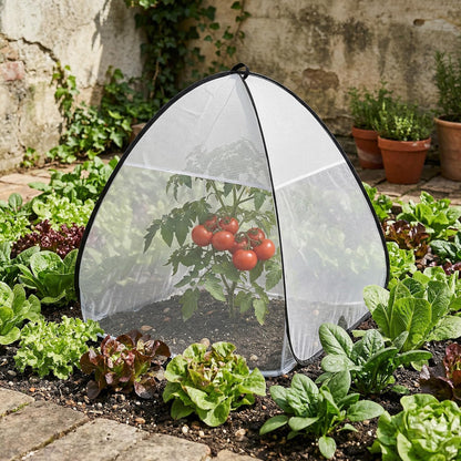 2 Pcs Pop Up Garden Netting Bug and Shade Covers, 22" x 22" x 22" Plant Sun Shade Top Bird Netting Tents, Insect Barrier Sun Protection Plant Cover Tent for Outdoor Plants Vegetables Fruits (Black)