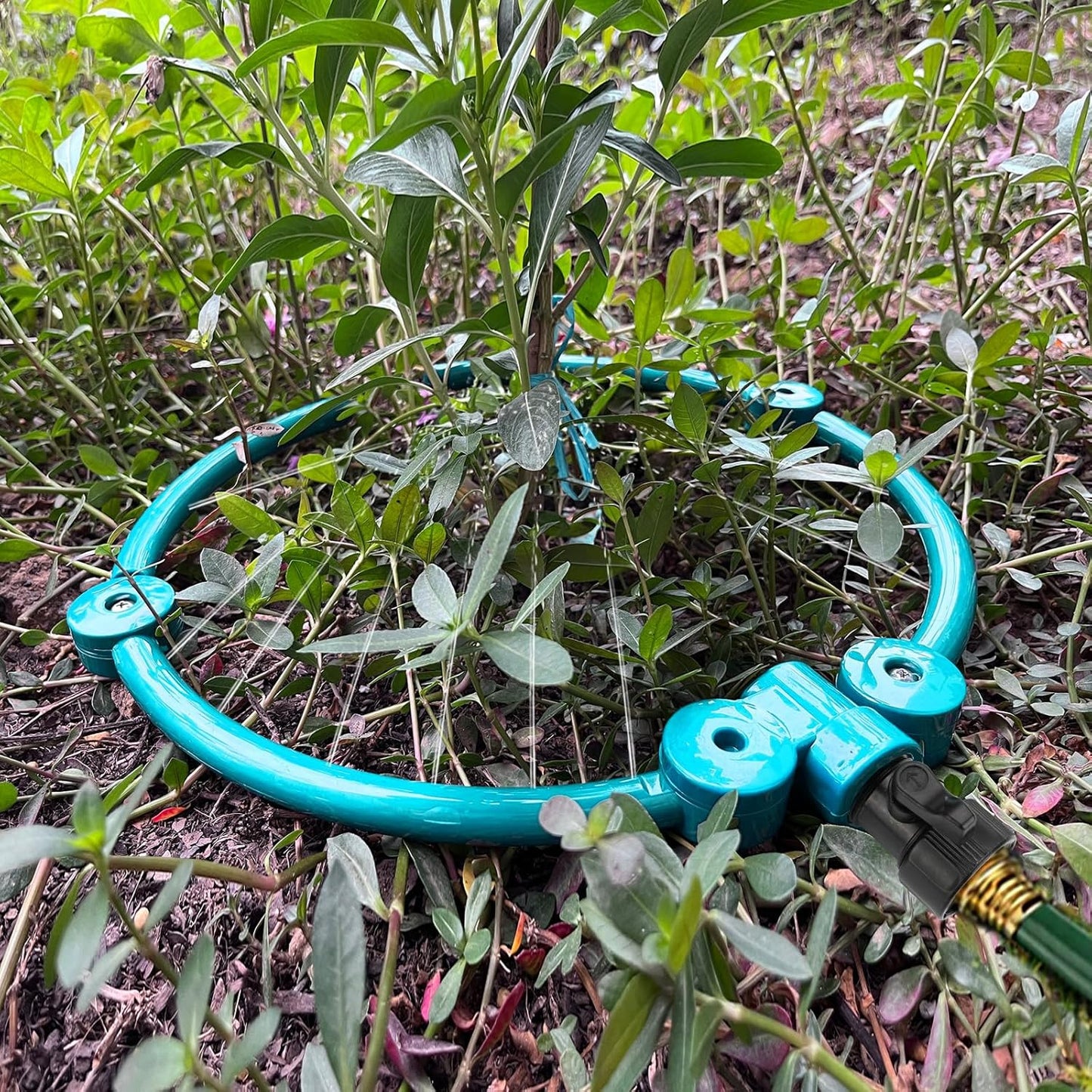 360° Tree Water System Tree Watering Ring Flower Sprinkler Garden Watering Circle Irrigation System for New Tree Outdoor Plants Raised Garden Beds Shrubs Plants, Flower Beds 2Pcs