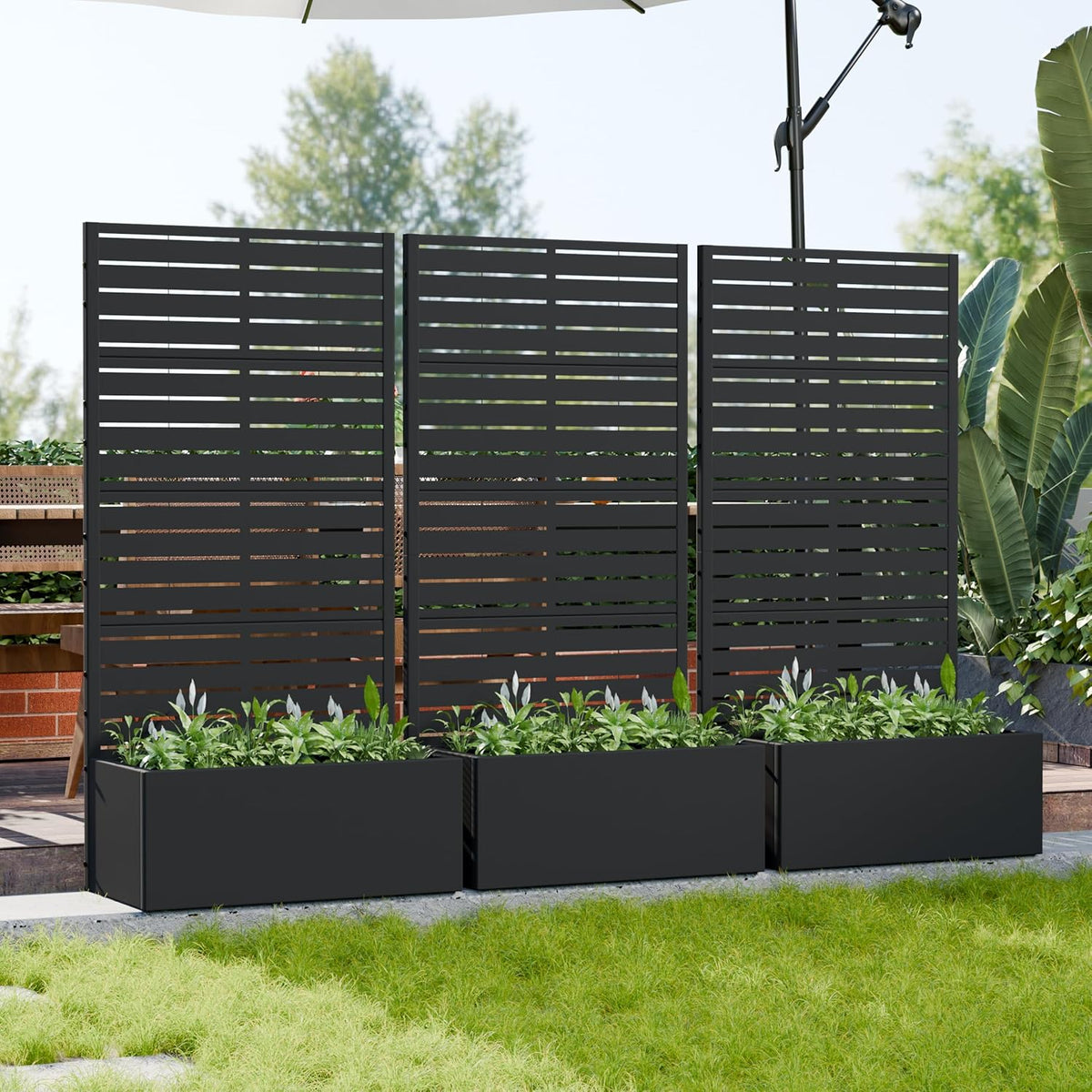 Casaphoria Metal Raised Garden Bed with Trellis and Wheels, 72"x47"x16" Planter Box for Climbing Plants, Vegetables & Vines, Features Drainage Holes and Privacy Screen (Black-Louver) - Colors D