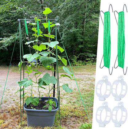 30Pcs Tomato Hooks with String, Tomato Support Hooks, Tomato Holder Hooks & Plant Support Clips with 33.3ft Twine to Prevent Tomatoes from Pinching or Falling Off