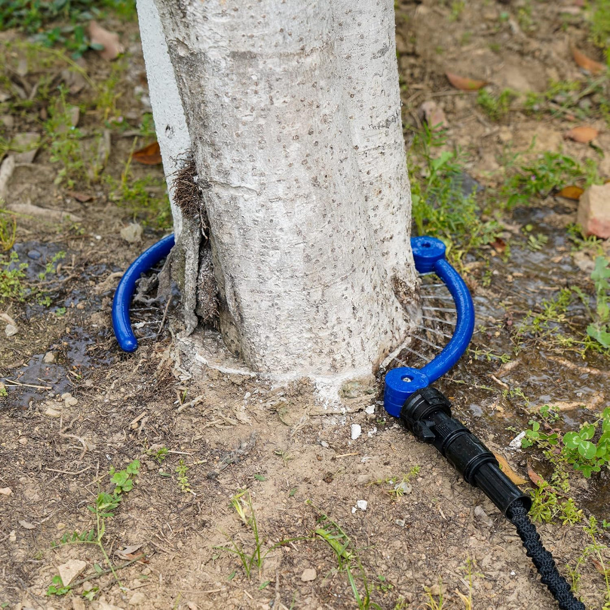 360°Tree Water System Tree Watering Ring Circle Sprinkler and Irrigation System Targeted Water for New Tree Outdoor Plants Raised Garden Bed Shrub