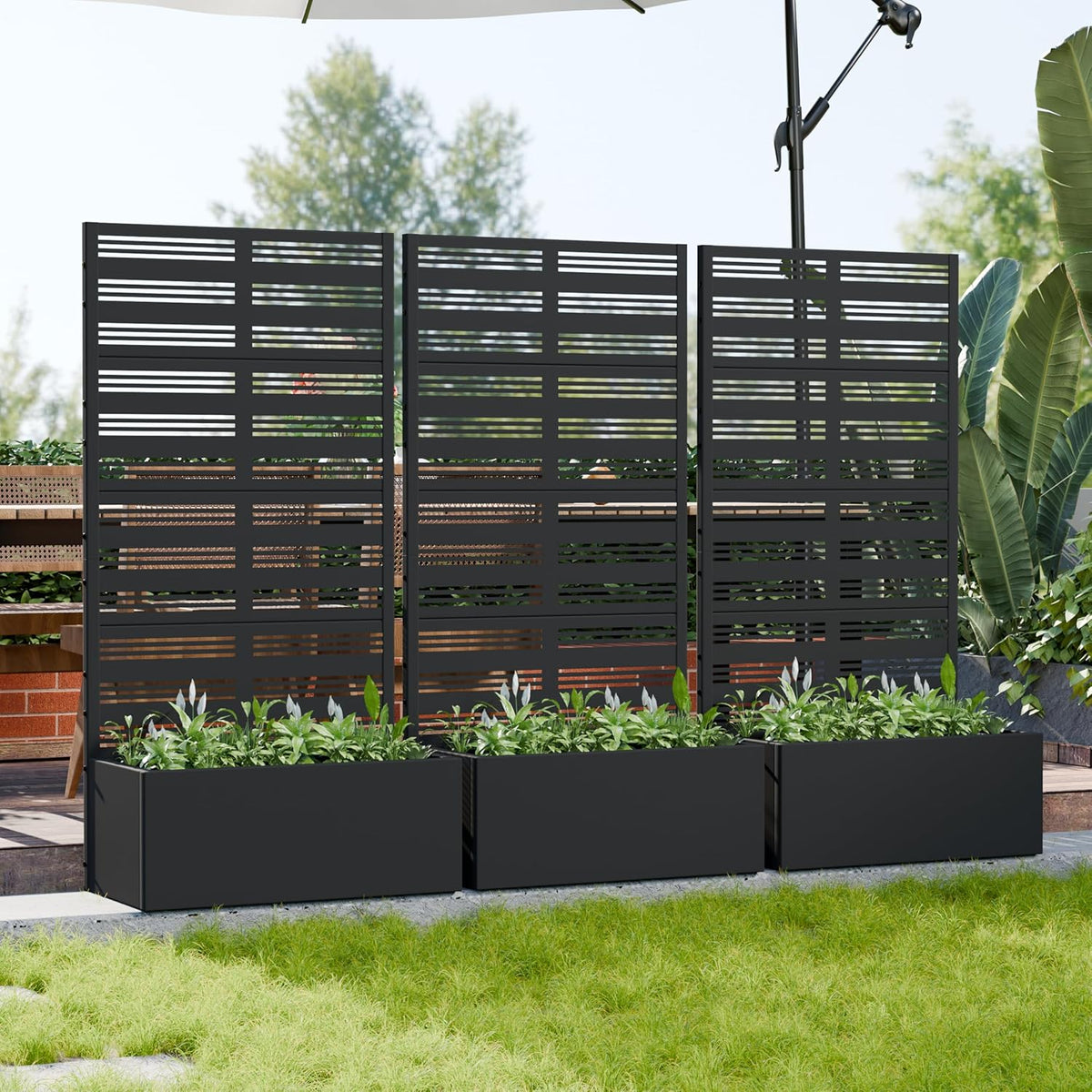 Casaphoria Metal Raised Garden Bed with Trellis and Wheels, 72"x47"x16" Planter Box for Climbing Plants, Vegetables & Vines, Features Drainage Holes and Privacy Screen (Black-Louver) - Colors D