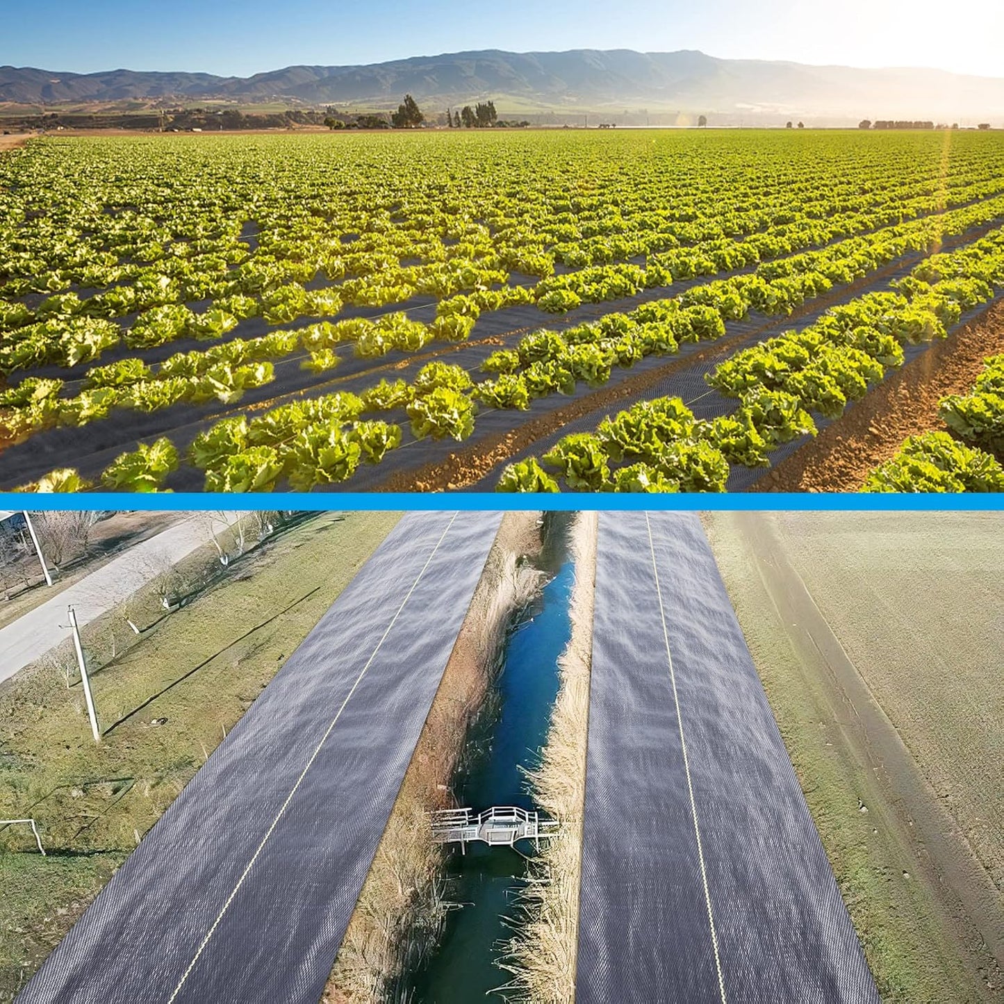 4ft x300ft Black Weed Barrier 3.5oz Landscape Premium Fabric-Heavy Duty Woven Ground Cloth with Superior Permeability Weed Control Convenient Design - Colors BH