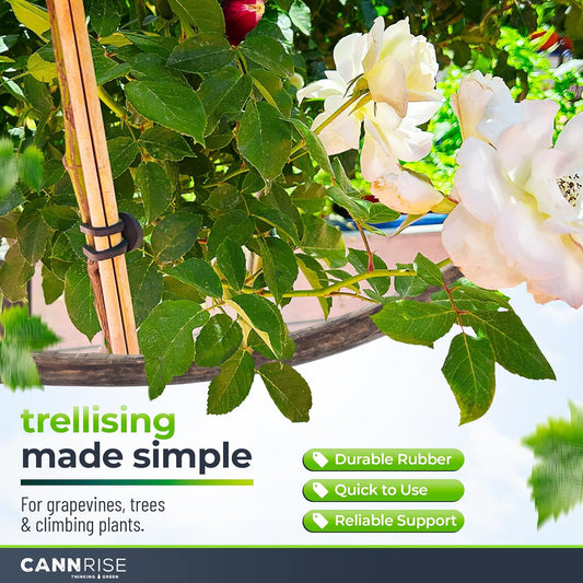 Anchor Bands for Trellising – 70-Pack 8 cm/3.14 in Rubber Vine Ties, UV-Protected Bands: Grapevines, Trees & Climbing Plants – Tool-Free Loop-and-Anchor Design for Install, Weatherproof