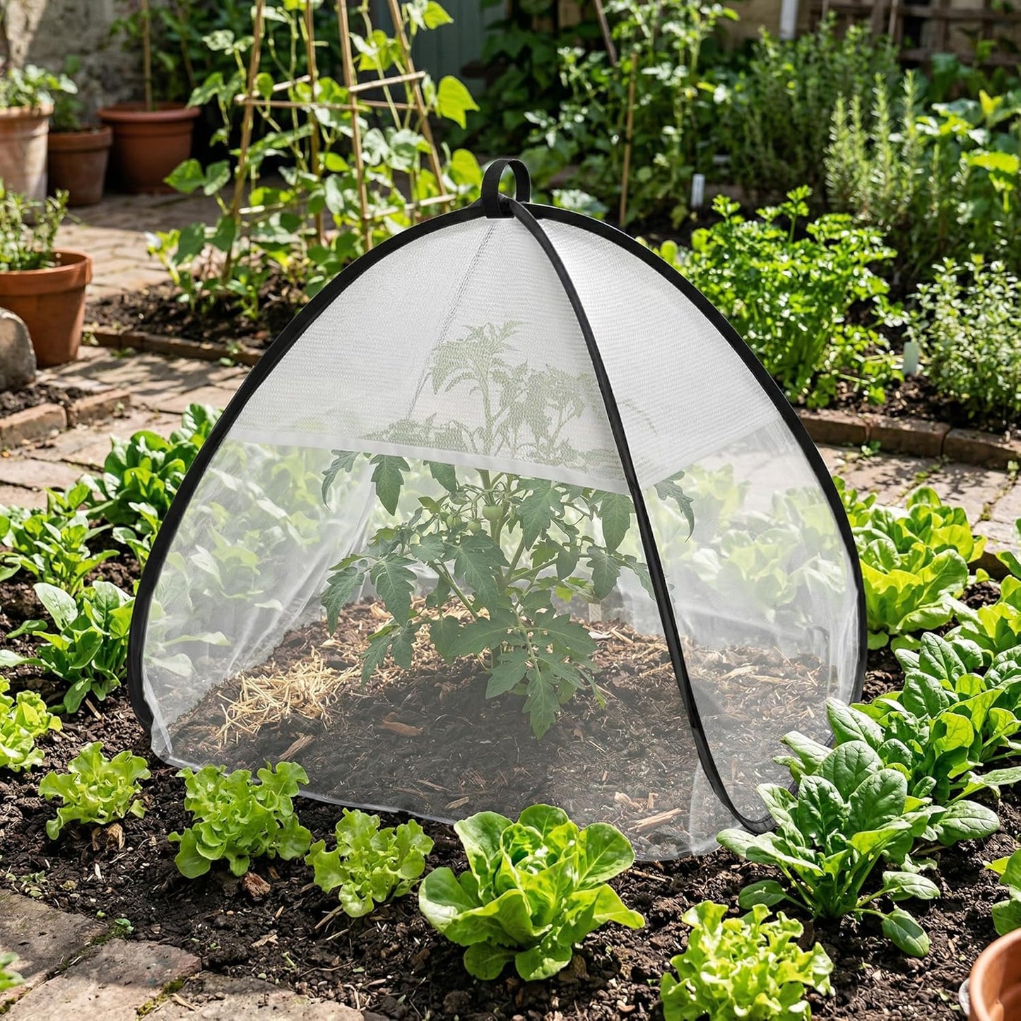 2 Pcs Pop Up Garden Netting Bug and Shade Covers, 22" x 22" x 22" Plant Sun Shade Top Bird Netting Tents, Insect Barrier Sun Protection Plant Cover Tent for Outdoor Plants Vegetables Fruits (Black)