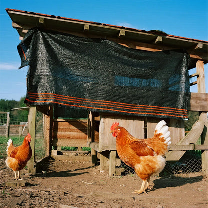winemana 70% Shade Cloth 10x20 FT - Durable UV Blocking Mesh Tarp for Garden, Patio, Greenhouse & Chicken Coop - Sun Shade Cover with Grommets for Plants, Dog Kennel, Outdoor Use