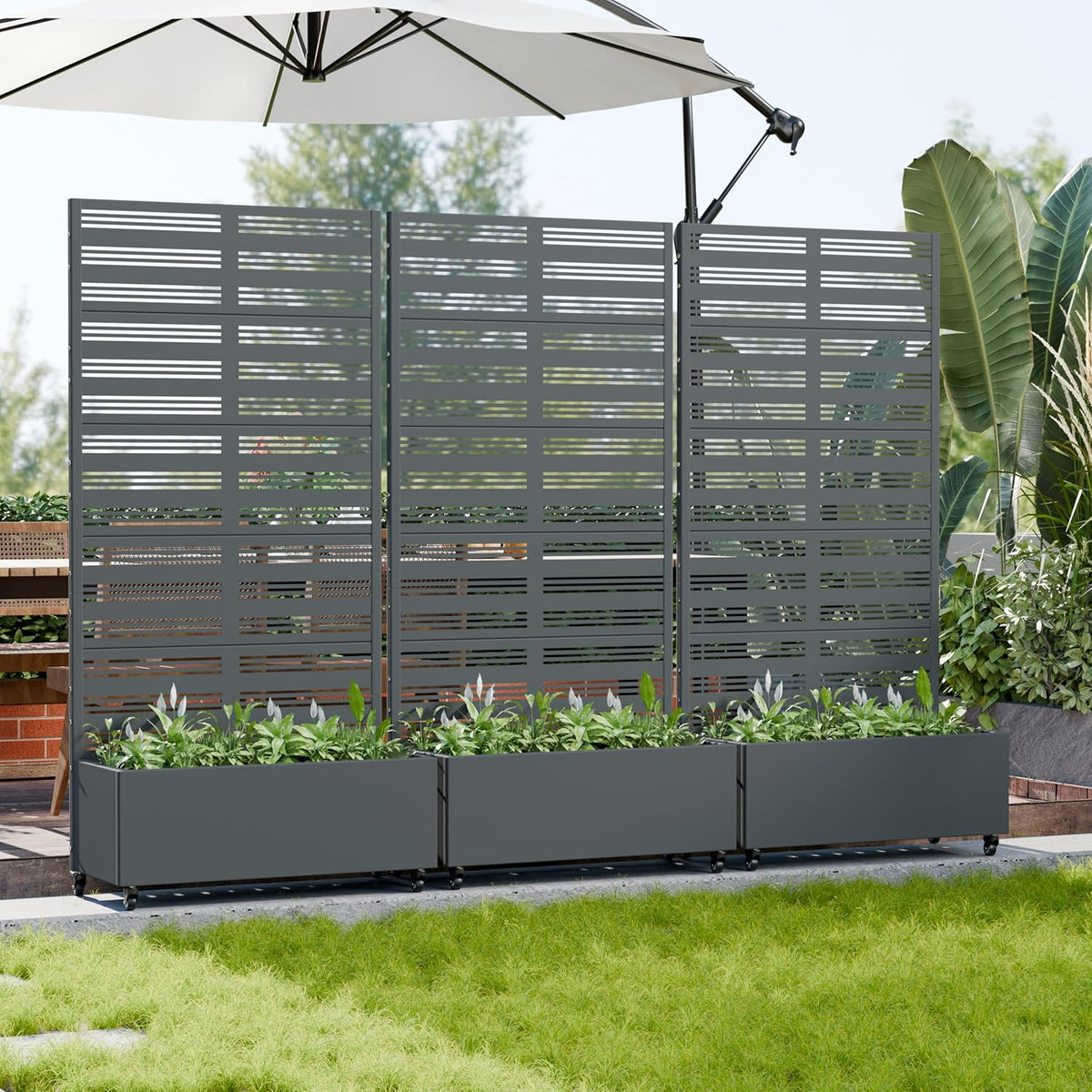 Casaphoria Metal Raised Garden Bed with Trellis and Wheels, 72"x47"x16" Planter Box for Climbing Plants, Vegetables & Vines, Features Drainage Holes and Privacy Screen (Black-Louver) - Colors C