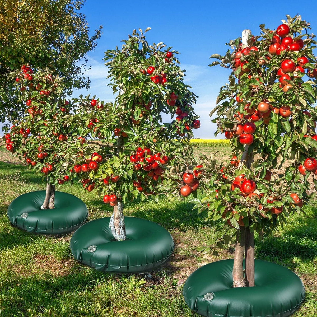 TaoBary 4 Pcs 10 Gallon Tree Watering Ring Bag Slow Release Watering Bag Deep Root Automatic Drip System PVC Drip Irrigation Pouch Donuts for Newly Planted Multi Trunk Trees Shrubs (Black)
